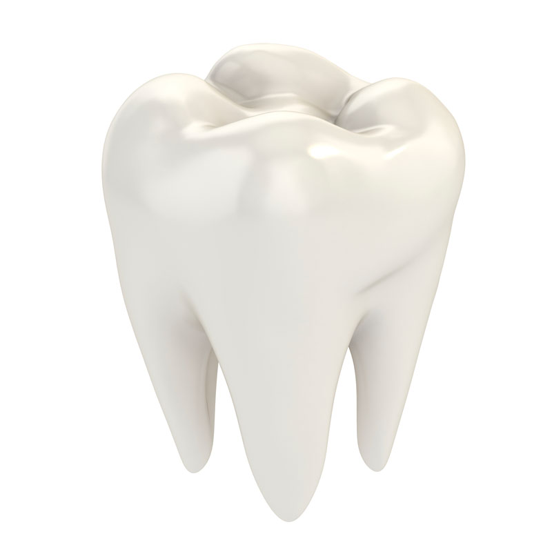 causas de agenesia dental